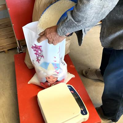 ふるさと納税 十和田市 【令和7年産】青森県産あきたこまち 精米　5kg |  | 03