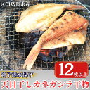 【ふるさと納税】 天日干し カネガシラ 干物 4パック 1パック3~5枚入 計12枚以上 10000円 カナガシラ 小分け 個包装 白身魚 高級魚 冷凍 無添加 新鮮 真空 魚介類 海鮮 焼魚 朝食 夕食 おつまみ 日本酒 ビール 酒の肴 グルメ お取り寄せ 贈り物 銚子港 銚子市 〆印島長水産