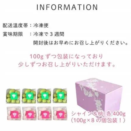 冷凍フルーツ【甲斐の実】食べ比べセット シャインマスカット 桃 山梨 無添加スイーツ 100g×8袋【配送不可地域：離島】【1608361】