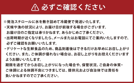 先行予約 冷蔵便 【 鮮度抜群 】 北海道産 真鱈の白子 （ タチ ） 400g × 1パック 濃厚とろける食感 白子 真だら 真鱈 タラ たら 鱈 魚 魚介 魚介類 海鮮 おつまみ 晩酌 酒の肴 贈