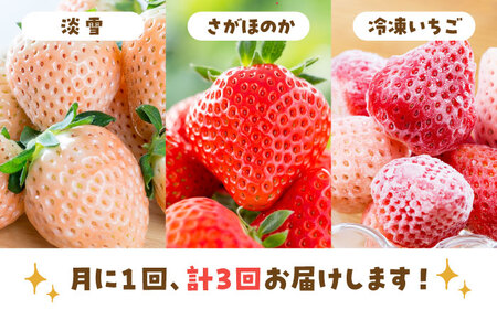 【先行予約】【3回定期便】赤白いちご食べ比べ！ /  いちご イチゴ 苺 いちご イチゴ いちご いちご  [IAP030]