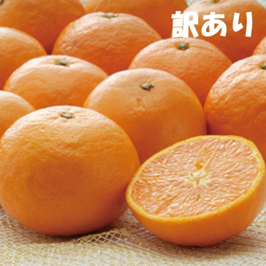 訳あり S-4L サイズおまかせ 石本農園のカラオレンジ 4kg 【2026年4月初旬から2026年4月下旬までに順次発送】 / みかん ミカン 蜜柑 カラオレンジ 訳あり おまかせ【mis015A】