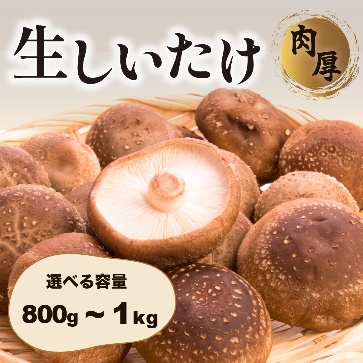 
                  肉厚生しいたけ 【選べる容量】　椎茸 しいたけ シイタケ 肉厚 生椎茸 国産 800g 1kg
                