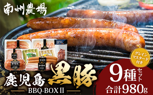鹿児島県産 BBQ-BOX Ⅱ ハム ソーセージ ベーコン 詰め合わせ セット NS-25 | かごしま 黒豚 生ハム ボロニア ウインナー ソース ジャーキー おつまみ バーベキュー 焼き肉 低添加