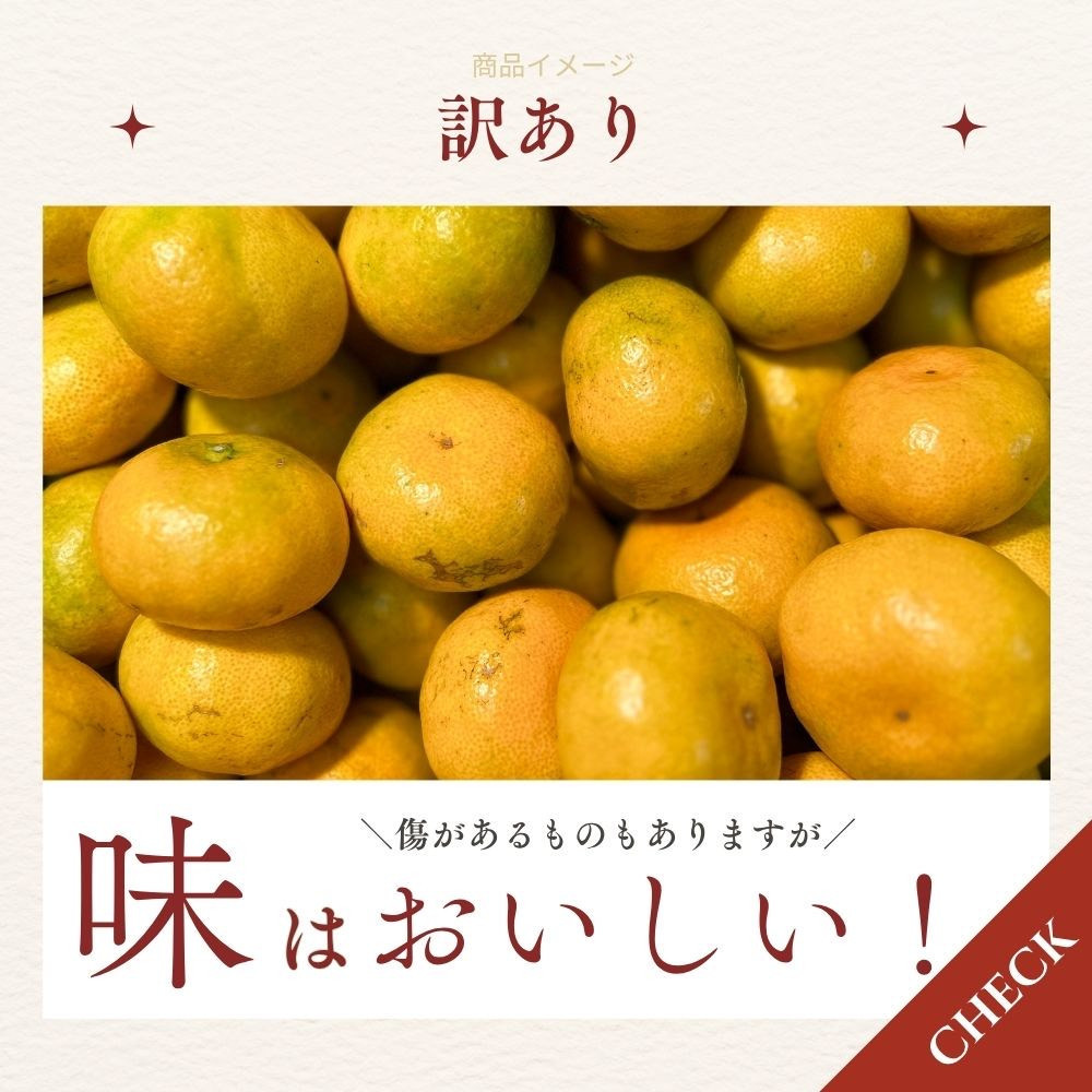 【ふるさと納税】有田みかん 極早生 2.6kg（箱込み3kg） 訳あり S～Lサイズおまかせ  【2026年11月発送】 柑橘 フルーツ みかん 産地直送 お取り寄せ 送料無料