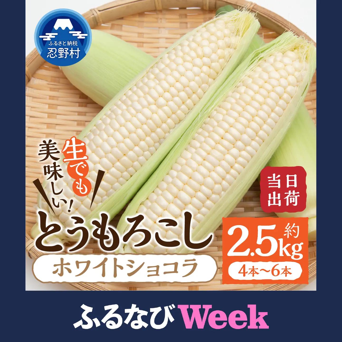 ★2027年先行予約★朝採りトウモロコシ 約2.5kg（ホワイトショコラ）