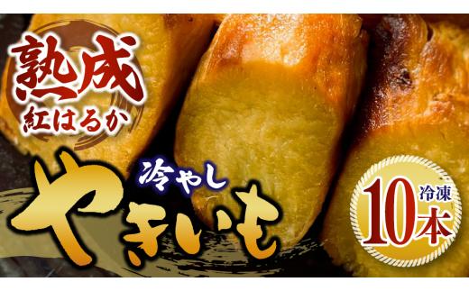 【石岡セレクト認証】 冷やし焼き芋 10本 1箱 べにはるか さつまいも 焼き芋 芋 焼いも 焼芋 サツマイモ スイーツ感覚 ねっとり 甘い 熟成 冷やし やきいも しっとり 美味しい アイスクリーム 相性抜群 ギフト 贈答用 健康おやつ 石岡市 (G67)