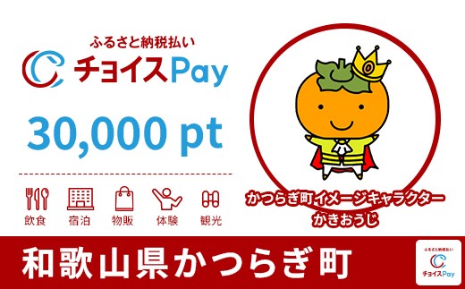 
            かつらぎ町チョイスPay 30,000pt【会員限定のお礼の品】
          