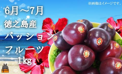 《限定受付》フルーツアイランド徳之島 フルーツ定期便 ( 3回お届け 完熟マンゴー マンゴー パッションフルーツ たんかん 柑橘 果物 徳之島 奄美 鹿児島 定期便 世界自然遺産 旬 )