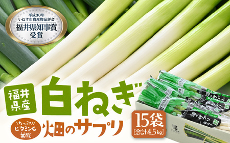【先行予約】 ビタミンCと葉酸たっぷり「畑のサプリ白ネギ」大容量パック 約300g入 × 15袋 【2026年11月以降順次発送予定】 長ネギ 長ねぎ 葱 長葱 白葱 野菜 [A-2614]