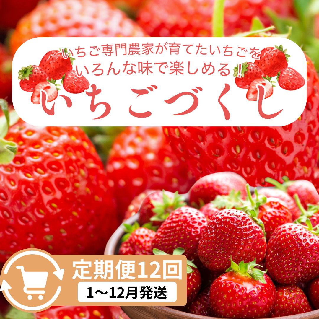【ふるさと納税】定期便 12回【1～12月発送】いちごづくし定期配送 苺 いちご 冷凍いちご いちごアイス シャーベット ジャム　お届け：1月～12月の月1回お届けいたします。※入金確認後の翌月からお届けします。