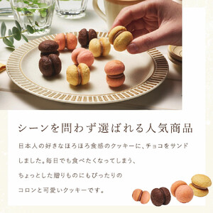 ＜シーキューブ＞サクッチ・ホロッチ　21個入　CSC-21RC