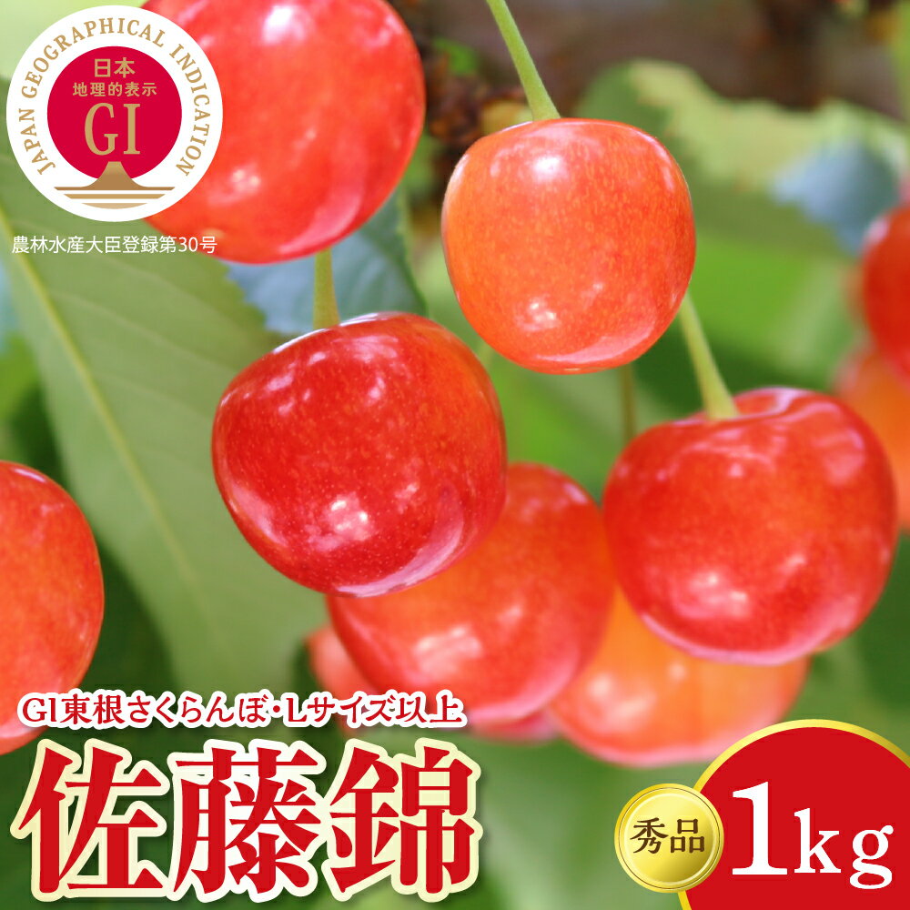 【ふるさと納税】 2026年産 GI東根 さくらんぼ 佐藤錦 1kg ( 500g × 2パック ) バラ詰め 秀品 | サクランボ フルーツ 果物 くだもの 小分け 箱入り 化粧箱 特産 産地直送 送料無料 お取り寄せ 期間限定 大容量 冷蔵配送 人気 おすすめ 山形県 東根市