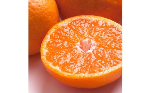 
            極プレミアム有田みかん 約1kg 定期便 全3回 10月・11月・12月発送
          