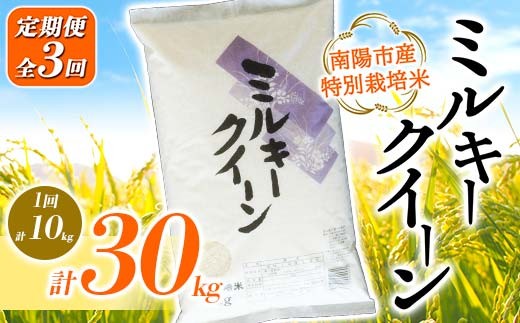 
                  【金賞受賞農家】 《定期便3回》 令和7年産 特別栽培米 ミルキークイーン 計10kg(5kg×2袋)×3か月 『あおきライスファーム』 山形南陽産 米 白米 精米 ご飯 農家直送 山形県 南陽市 [2410]
                