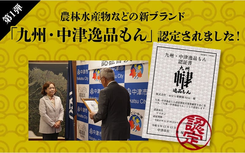 紅モンスター マコポン贈答用 12玉 | フルーツ 果物 くだもの 果実 柑橘 柑橘類 まこぽん マコポン オレンジ ゼリーオレンジ 不知火 国産 中津市産 産地直送 大分県 中津市