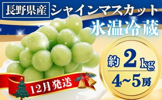 【2025年先行予約】氷温貯蔵シャインマスカット 約2kg(4~5房)｜果物 フルーツ 白ぶどう 葡萄 ブドウ 種無し 種なし 皮ごと 千曲市 長野県 信州