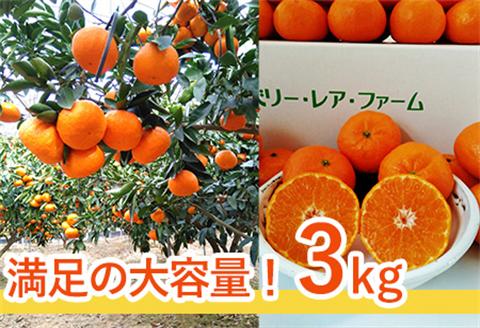 『予約受付』口之津(くちのつ)39号みかん (ハウス栽培) 唐津産 3kg【令和7年1月下旬発送】浜王(はまおう) フルーツ 果物 柑橘 かんきつ