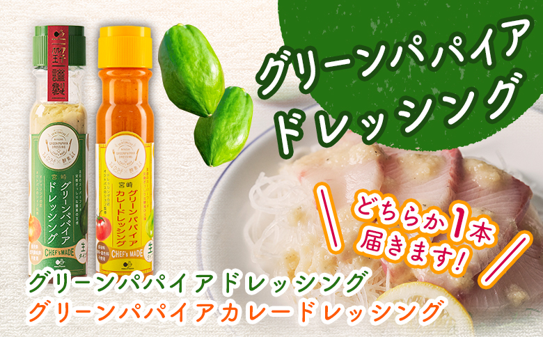 産地直送！旬の野菜（5～8種類）＆ドレッシング セット 全6回 隔月定期便 2か月に1回お届け おまかせ 詰合せ 宮崎県新富町産【E214】