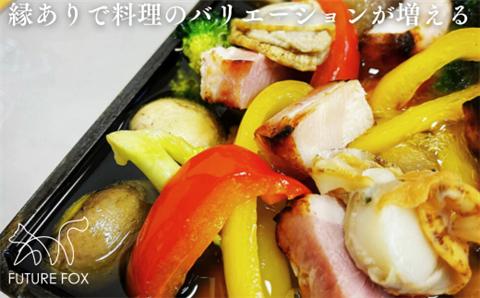 FF01 FUTURE FOX 使い込むほど味が出る鉄板 17cm×17cm // キャンプ アウトドア キャンプ飯 男飯 鉄板焼き 安定 無骨 おしゃれ 丈夫 頑丈 ソロキャン キャンプ用品 アウト