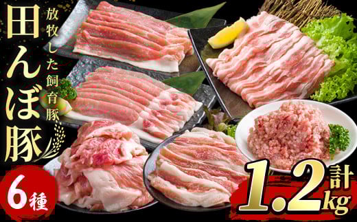 田んぼ豚セット 計1.2kg (200g×6種)  豚肉 肉 お肉 冷凍 にく 登米市産 ロース バラ モモのスライス 肩焼肉用 細切れ ひき肉 【株式会社いなほ】tm268