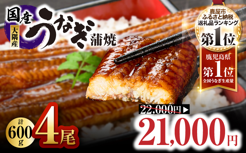 7月31日まで！鹿児島県大隅産うなぎ蒲焼4尾（600g）　KN007-004-04