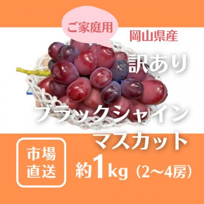 ご家庭用(訳あり) 岡山県産 ブラックシャインマスカット 2-4房(約1kg)【配送不可地域：離島】