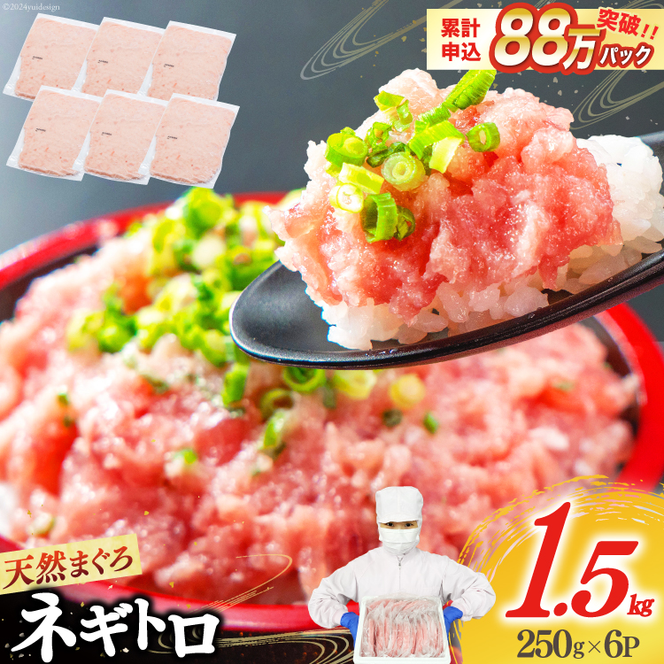 【ZIP!で紹介】ネギトロ 250g×6p 計1.5kg 小分け パック [マルハニチロオーシャン 静岡県 吉田町 22424374] ねぎとろ まぐろたたき 天然 マグロ めばち きはだ 1kg以上