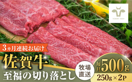 【牧場直送】【全3回定期便】佐賀牛至福の切り落とし 計1.5kg（250g×2袋×3回）/ 牧場直送 ブランド牛 和牛 黒毛和牛 小分け / 佐賀県 / 有限会社佐賀セントラル牧場 [41ASAA018]