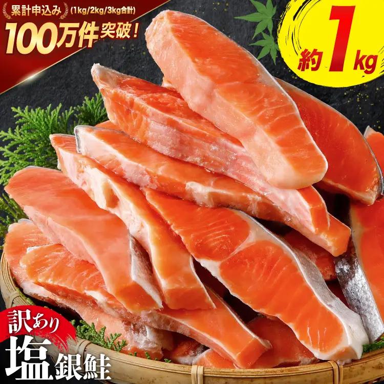 訳あり 銀鮭 切身 約1kg [宮城東洋 宮城県 気仙沼市 20564663]