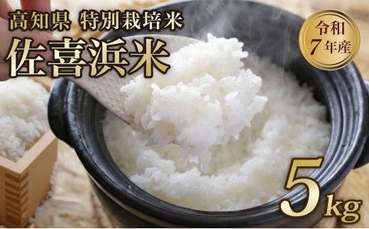 
                  令和7年度産 佐喜浜米 5kg | 有機栽培米 無農薬 精米 白米 お米 ご飯 高知県産 主食 家庭用 産地直送 農家直送 高知県 室戸市
                