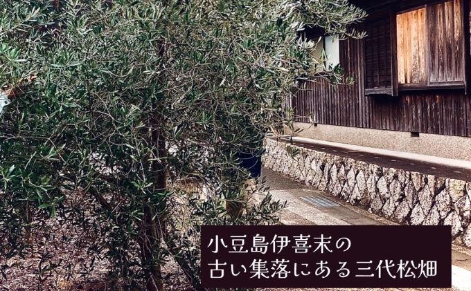 小豆島産オリーブオイル 100% 搾りたて 小豆島産三代松家オリーブオイル (エクストラバージンオイル・無濾過) 67ml 1本