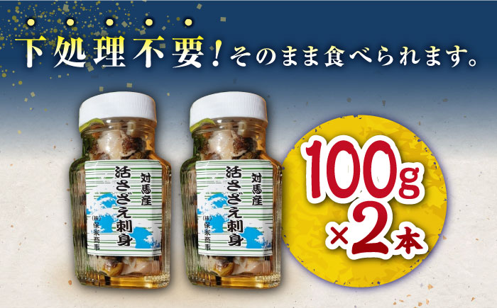 【お中元対象】対馬産 活サザエ 刺身 100g×2本《対馬市》【保家商事】 さざえ サザエ 刺し身 海鮮 魚貝 貝 海産物 [WAA008]