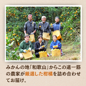 厳選 柑橘詰合せ1.5kg+45g（傷み補償分）【有田の春みかん詰め合わせ・フルーツ詰め合せ・オレンジつめあわせ】【光センサー選別】【ikd183】