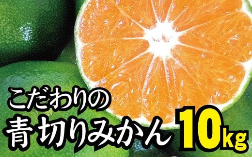 
            【2025年秋頃発送予約分】【農家直送】こだわりの青切りみかん 約10kg  有機質肥料100%　 サイズ混合　※2025年9月下旬より順次発送予定（お届け日指定不可）【nuk108C】
          