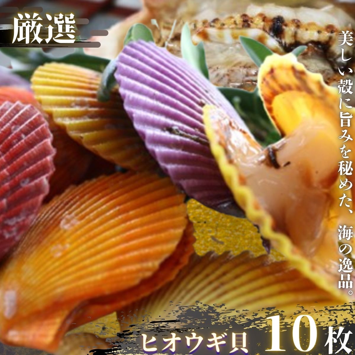 【ふるさと納税】期間限定！「隠岐のヒオウギ貝」ヒオウギ貝 養殖 貝 10枚セット 食卓に彩りを添える、まるで海の宝石 新鮮 栄螺 つぼ焼き BBQ 海鮮 貝 魚介 お歳暮 ギフト 年末年始 贈与 贈答品