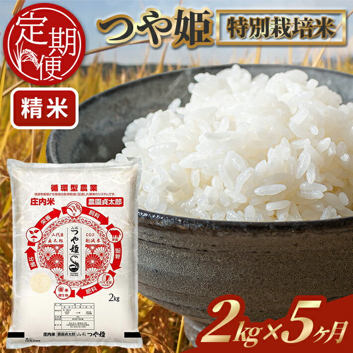 【ふるさと納税】≪5ヶ月定期便≫ 特別栽培米 つや姫 精米 2kg×5ヶ月連続 計10kg 令和7年産 山形県産 ご希望期間の毎月下旬にお届け 白米 庄内米 米 ごはん ご飯 一人暮らし 少人数 小分け 酒田市 庄内 山形県 東北 定期便 5回