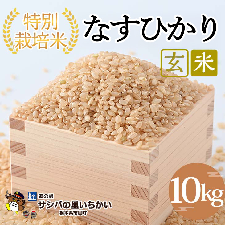 市貝町産 特別栽培米〈なすひかり〉玄米10kg ｜ 国産 栃木県産米 お米 特別栽培米 栃木米 とちぎ米 ※離島への配送不可 ※9月中旬頃より順次発送予定