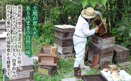 【国産】純粋蜂蜜1200g | 岐阜県 垂井町 蜂蜜 はちみつ ハチミツ 百花蜜 採れたて 糖度78度以上 良質な自然環境 山麓に豊富な蜜源植物 1200g 1本 贈り物 ギフト プレゼント
