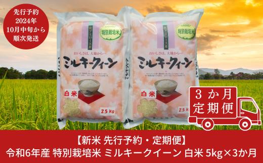 新米 先行予約 [定期便5kg×3ヶ月] 特別栽培米 ミルキークイーン 白米 計15kg 新潟県産 令和6年産米 3か月連続でお届け [佐藤農産有機センター]【027S011】