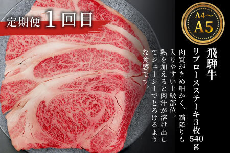 飛騨牛 ステーキ定期便 全3回 計約1.5kg A5 A4 ステーキソース リブロースステーキ ももステーキ サーロインステーキ リブロース モモ サーロイン ステーキ 牛 冷凍 和牛 牛肉 にく お