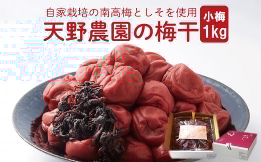 天野農園の梅干1kg（小梅）　《 2025年9月中旬 ～ 順次出荷 》