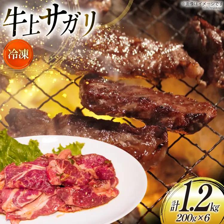 サガリ 牛 上サガリ 200g 6パック 計1.2kg
