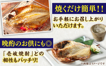 旬のイカ一夜干し2枚＋あじみりん＋あじの干物＋いわしみりん＋旬の干物（かます＋鯛＋いさき＋かさご＋あかはた＋アコウ＋ムツなど）＋うに60g 《壱岐市》【合同会社塚元】[JDR028]