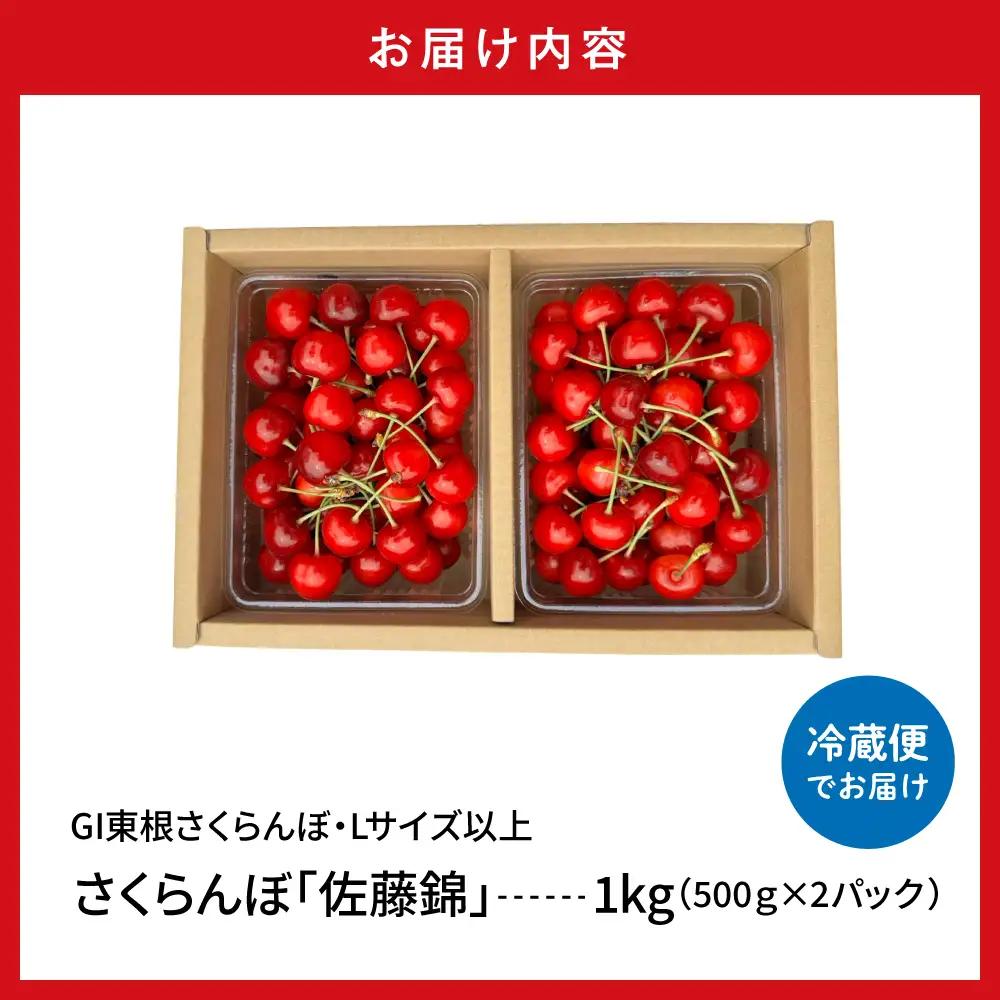 2027年産 GI東根 さくらんぼ 佐藤錦 1kg さくらんぼ