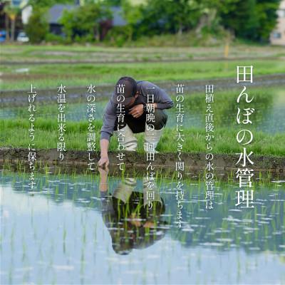 ふるさと納税 南魚沼市 【毎月定期便】南魚沼産コシヒカリ食味コンクール4年連続優秀賞　塩沢地区限定米10kg全3回 |  | 01