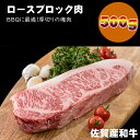 【ふるさと納税】 佐賀産和牛 ロース ブロック肉 （500g）潮風F A5～A4 ブランド牛 ステーキ 焼肉 ブロック セット 人気 ランキング 高評価 牛肉 【C255-003】