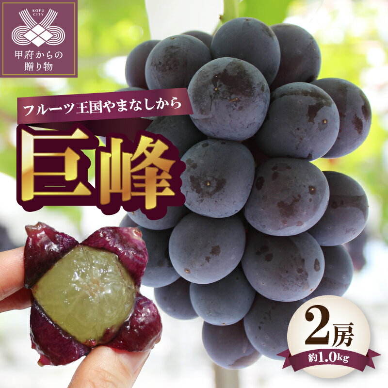 【ふるさと納税】 巨峰 2026年 先行予約 2房 約1.0kg 山梨県産 甲府市産 ぶどう フルーツ 果物 冷蔵 大粒 甘い 贈り物 お中元 贈答品 手土産 フルーツ王国山梨 数量限定 期間限定 2026年度配送分 k330-003