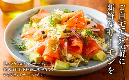 【数量限定】スモークサーモン とっとり 琴浦 グランサーモン 500g