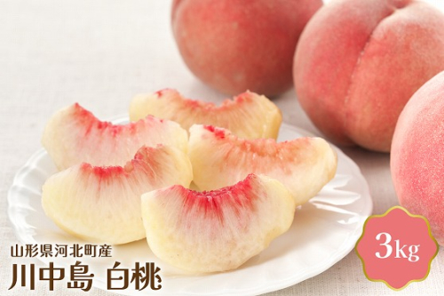 【令和7年産】川中島白桃 3kg 山形県産【JAさがえ西村山】